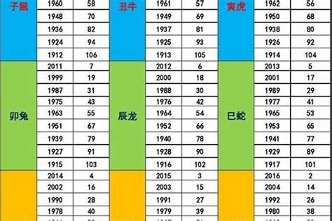 2000年生肖五行|2000 年出生属什么生肖